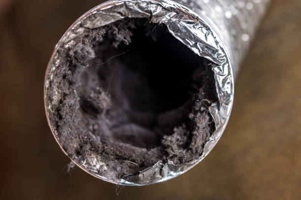 Best HVAC Duct Inspection Services  in Marshallville, GA